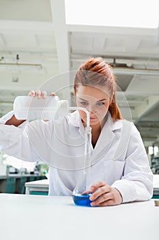 Portrait of a science student doing an experiment