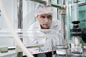 Portrait of a scientist, apothecary extracting cannabis oil in laboratory.