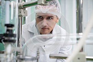 Portrait of a scientist, apothecary extracting cannabis oil in laboratory.