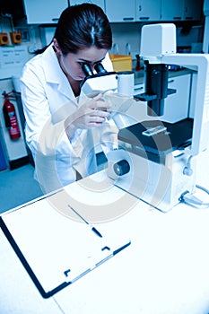 Portrait of a scientist looking in a microscope