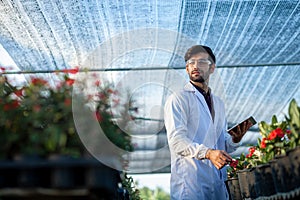 Portrait of a scientist working in agriculture research. organic testing Botany in Plant Growth