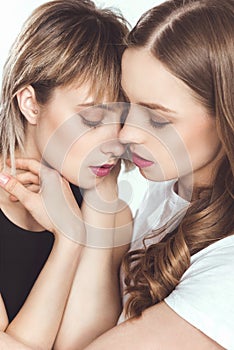 Portrait of seductive young lesbian couple hugging