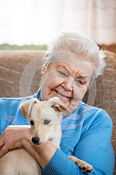 portrait of a senior adult woman holding a half breed dog on her lap