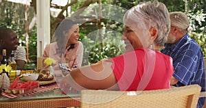 Portrait of a senior African American woman spending time in garden