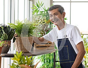 A portrait of a senior Asian man gardener poses with happy in planting corner at home