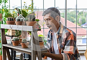 A portrait of a senior Asian man gardener taking care for plant with happy in planting corner at home