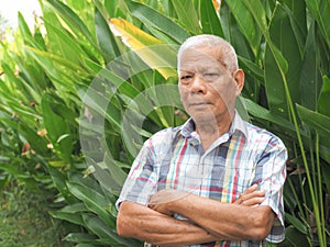 Portrait of a senior Asian man looing at camera and arms crossed while standing in a garden photo