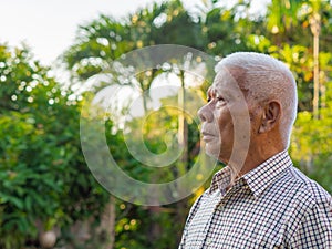 Portrait of a senior Asian man looking up while standing in the garden