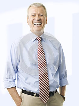 Portrait Of A Senior Businessman Smiling