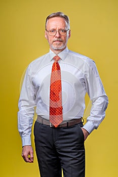 Portrait of a senior businessman standing against yellow background hand in poket