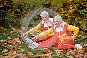 Portrait of senior couple doing exercises in autumnal park