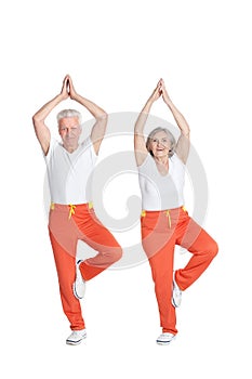 Portrait of Senior couple exercising isolated on white background