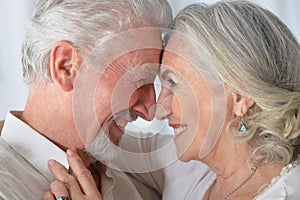 Portrait of senior couple hugging at home