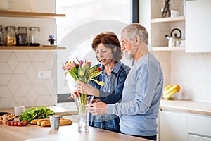 A portrait of senior couple in love indoors at home, unpacking shopping.