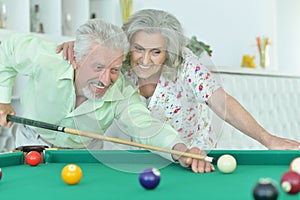Portrait of a senior couple playing billiard