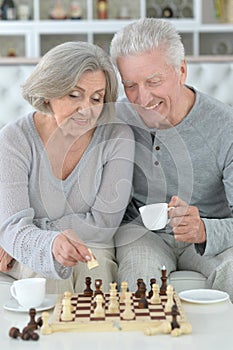 Portrait of senior couple playing chess