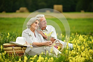 Portrait of senior couple resting in park