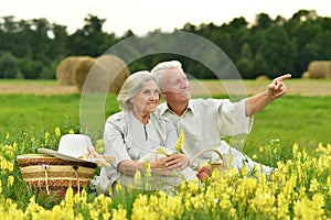 Portrait of senior couple resting in park