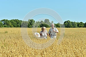 Portrait of senior couple resting at summer field