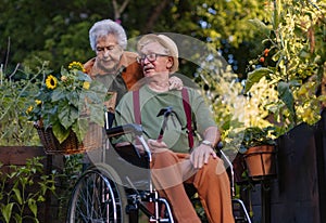 Portrait of senior couple taking care of vegetable plants in urban garden.