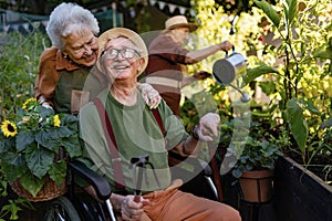 Portrait of senior couple taking care of vegetable plants in urban garden.