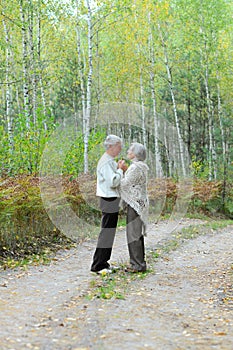 Portrait of senior couple walking in autumn forest