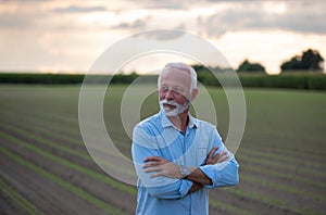 Portrait of senior farmer in field