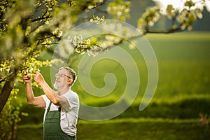 Portrait of senior man gardening