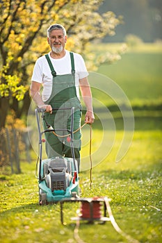 Portrait of senior man gardening, taking care of his orchad