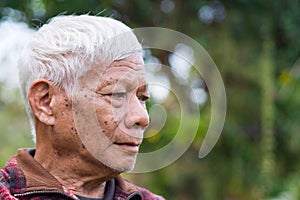Portrait of a senior man with gray hair and looking away while standing in a garden. Concept of aged people and healthcare