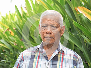 Portrait of a senior man with gray hair, smiling and looking at the camera while standing in a garden. Concept of aged people