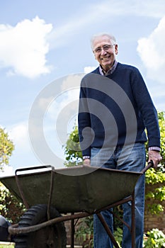 Portrait Of Senior Man Pushing Barrow Whilst Gardening