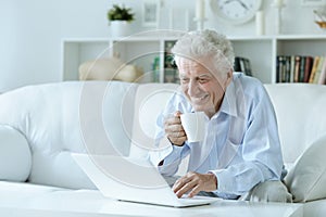 Portrait of senior man using laptop at home