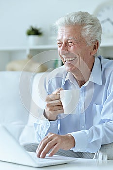 Portrait of senior man using laptop at home