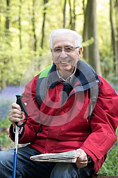 Portrait Of Senior Man On Walk Through Bluebell Wood