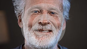 Portrait of a senior old man with gray hair looking at the camera. Happy elderly man smiling. Gray beard and home