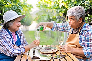 Portrait of senior winemaker holding in his hand a glass of new white wine. Smiling happy elderly couple enjoying a picnic