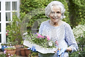 Portrait Of Senior Woman Planting Flowers In Garden