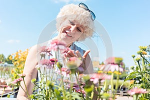 Portrait of a serene senior woman standing in the garden in a su