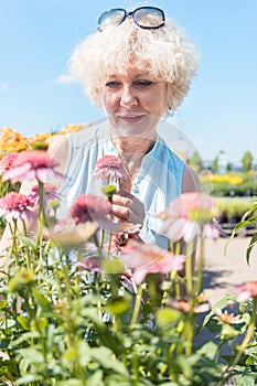 Portrait of a serene senior woman standing in the garden in a sunny day