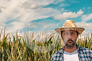 Portrait of serious agronomist in corn maize field