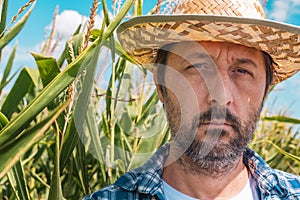 Portrait of serious agronomist in corn maize field