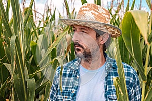Portrait of serious corn farmer in maize field
