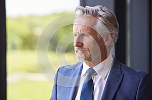 Portrait Of Serious Senior Businessman CEO Chairman Standing Inside Modern Office Building