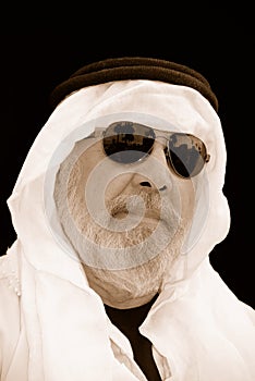 A Portrait of The Sheik at the Beach photo