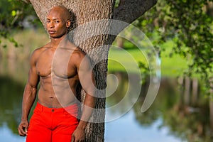 Portrait of a shirtless fitness model posing by a tree in the park