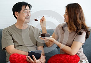 Portrait shot of cute smiling middle-aged Asian lover couple sitting on a couch at home, looking at each other with romantic