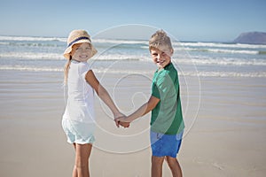 Portrait of siblings holding hands on shore at beach