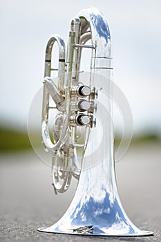 Portrait of a silver baritone