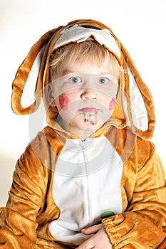 Portrait of the small boy bunny with droopy ears